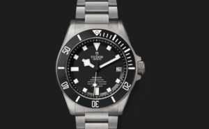 Tudor Pelagos